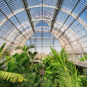 August 2017: Palm garden at a greenhouse in Kew Royal Botanic Gardens.