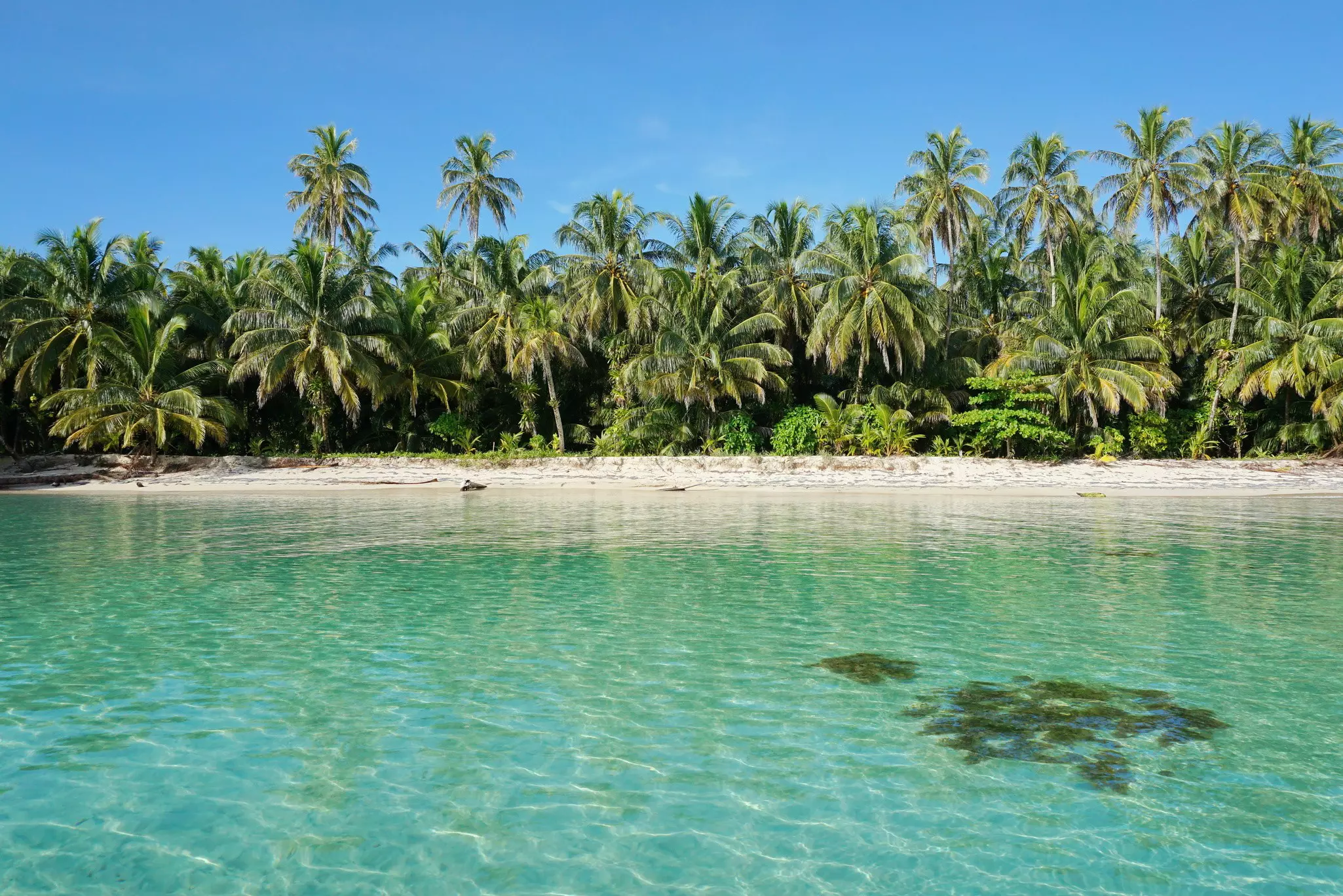 Untouched tropical shore of an island of the Caribbean sea with lush vegetation, viewed from the sea, cayos Zapatilla, Bocas del Toro, Panama.