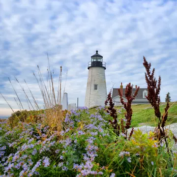 The lighthouse at Pemaquid Point, Maine with cloudy sky above and assorted native foliage in the foreground.