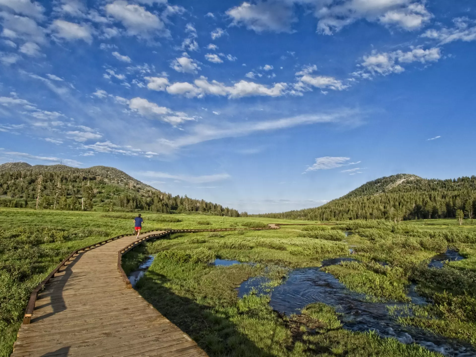 Tahoe Meadows trail. Keri Oberly/Getty Images