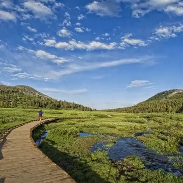 Tahoe Meadows trail. Keri Oberly/Getty Images