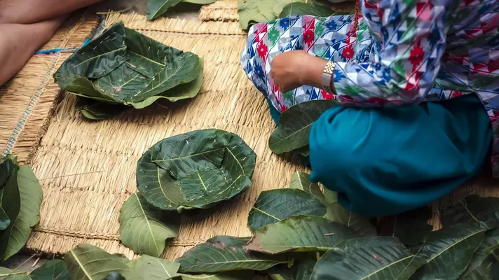 Green leaves stitched into temporary dishes.