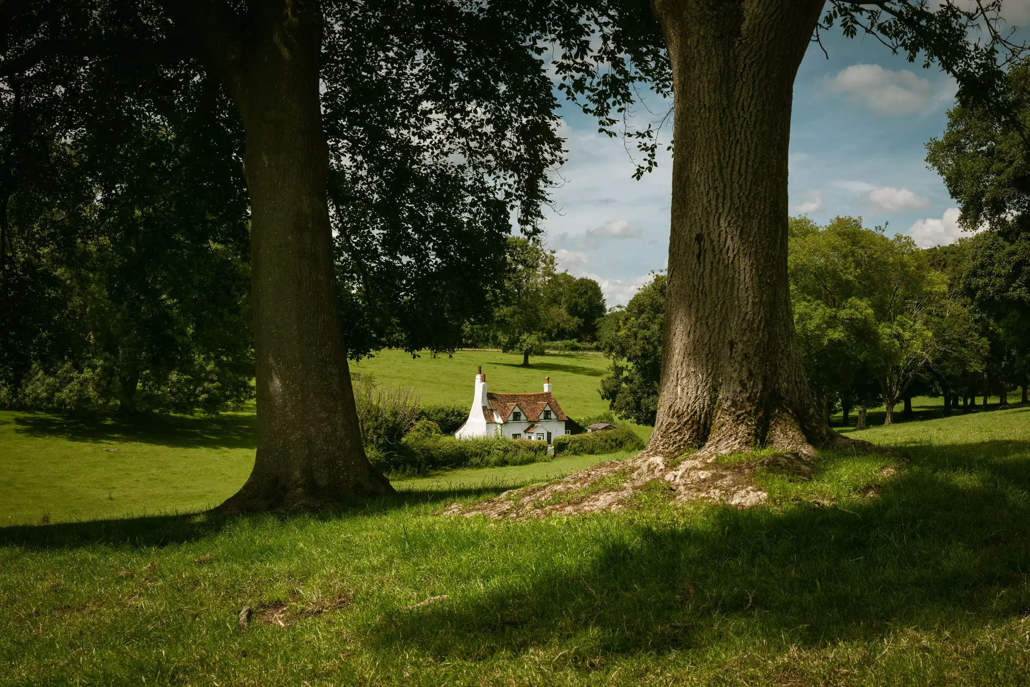 Cottage in Chiltern hills, England, with trees, grass and sky all around