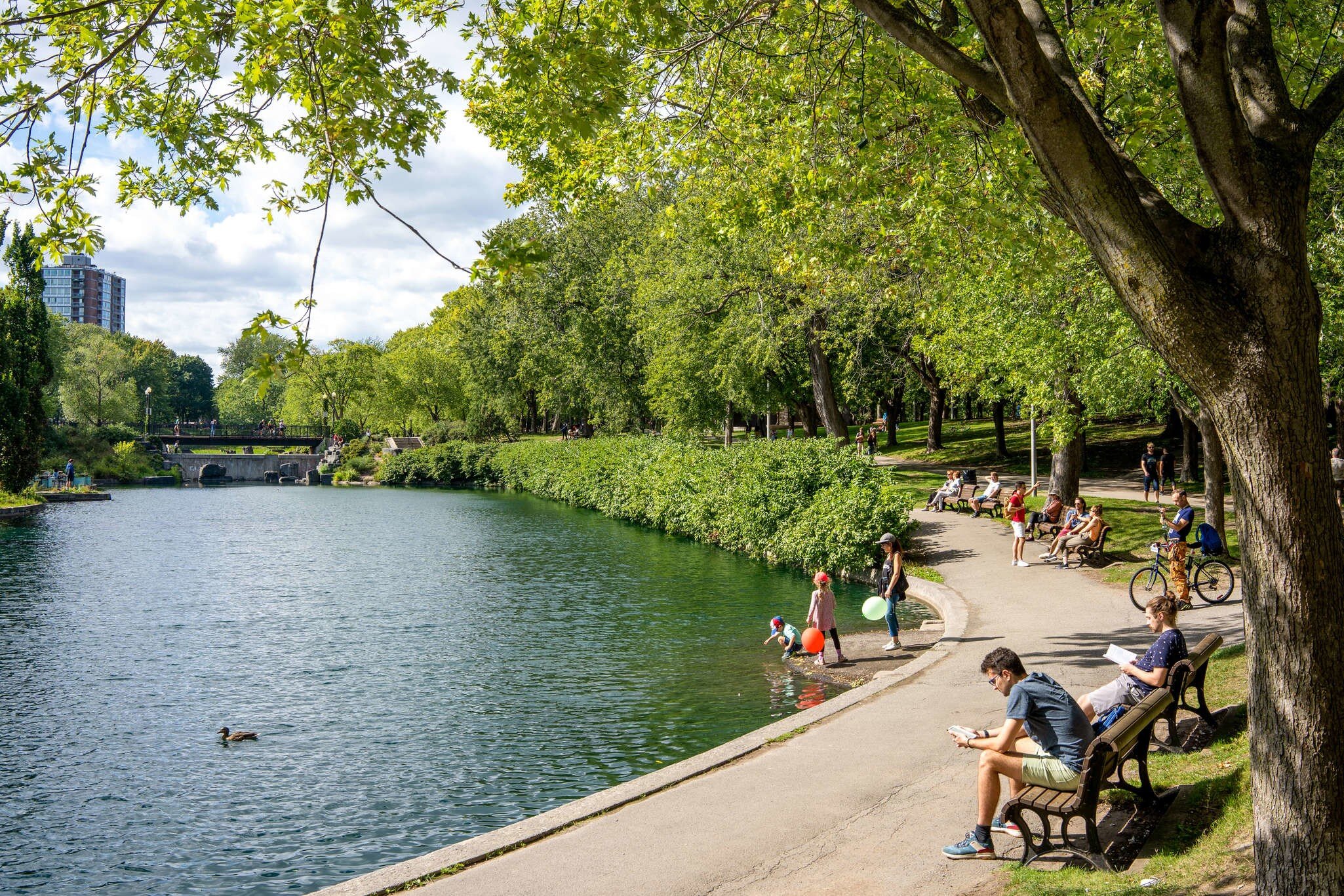 La Fontaine Park in Montréal was the perfect place to take a break after a few long days of cycling.