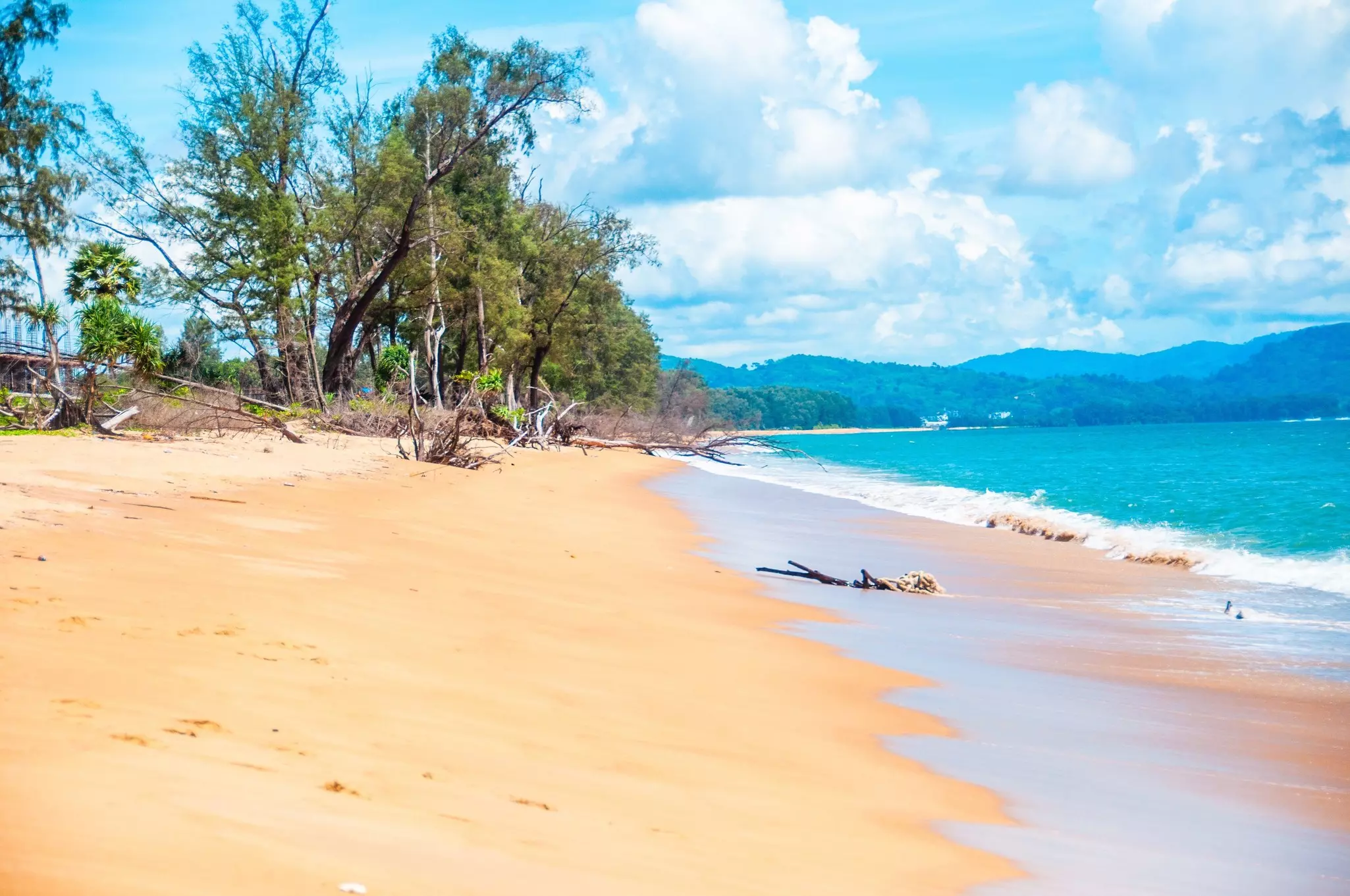 An empty beach with a golden stretch of sand and some driftwood