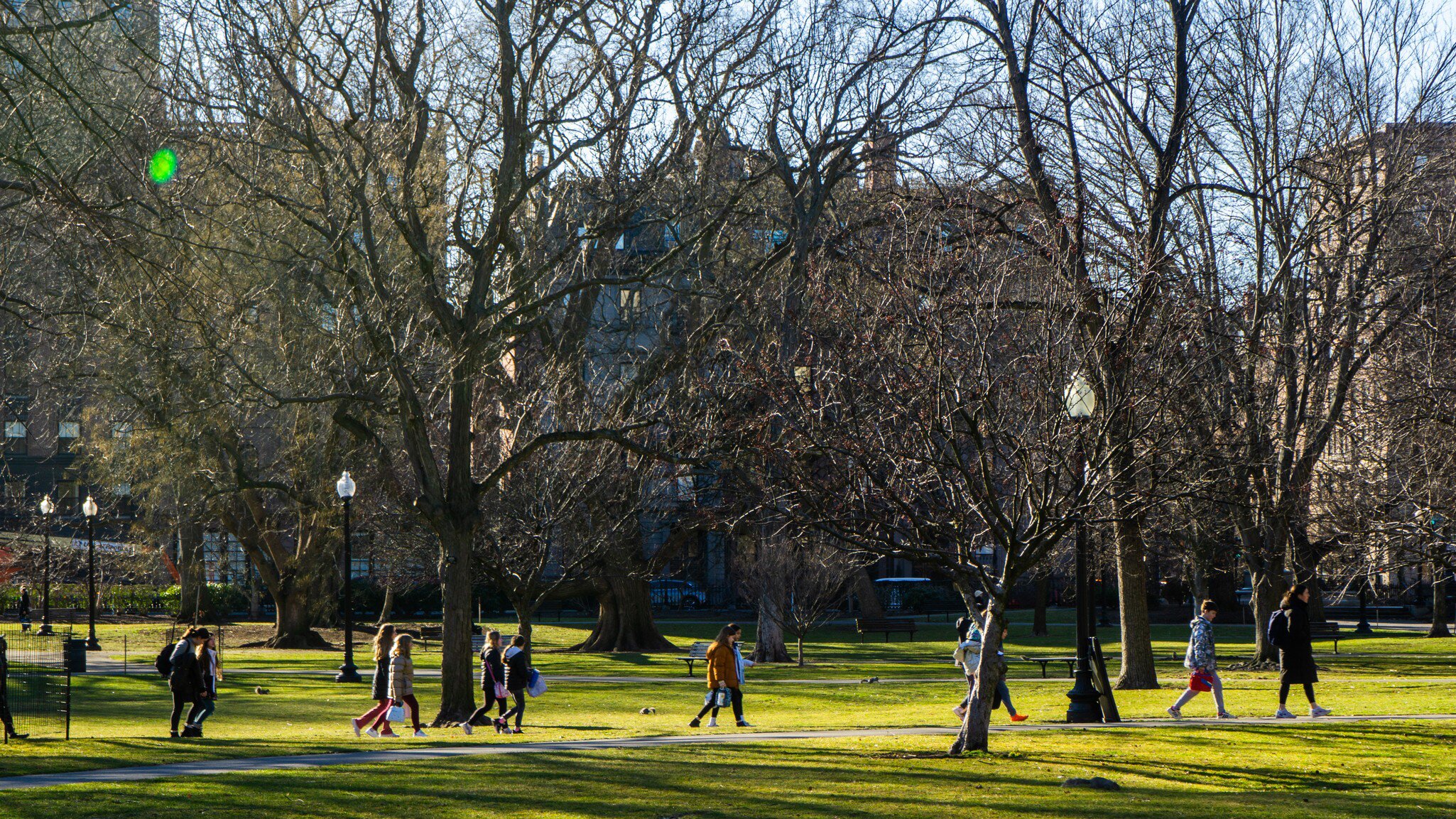 People walking amongst the trees in Boston Common in Boston, Massachusetts.