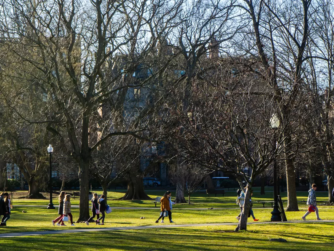 People walking amongst the trees in Boston Common in Boston, Massachusetts.