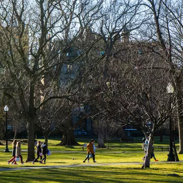 People walking amongst the trees in Boston Common in Boston, Massachusetts.