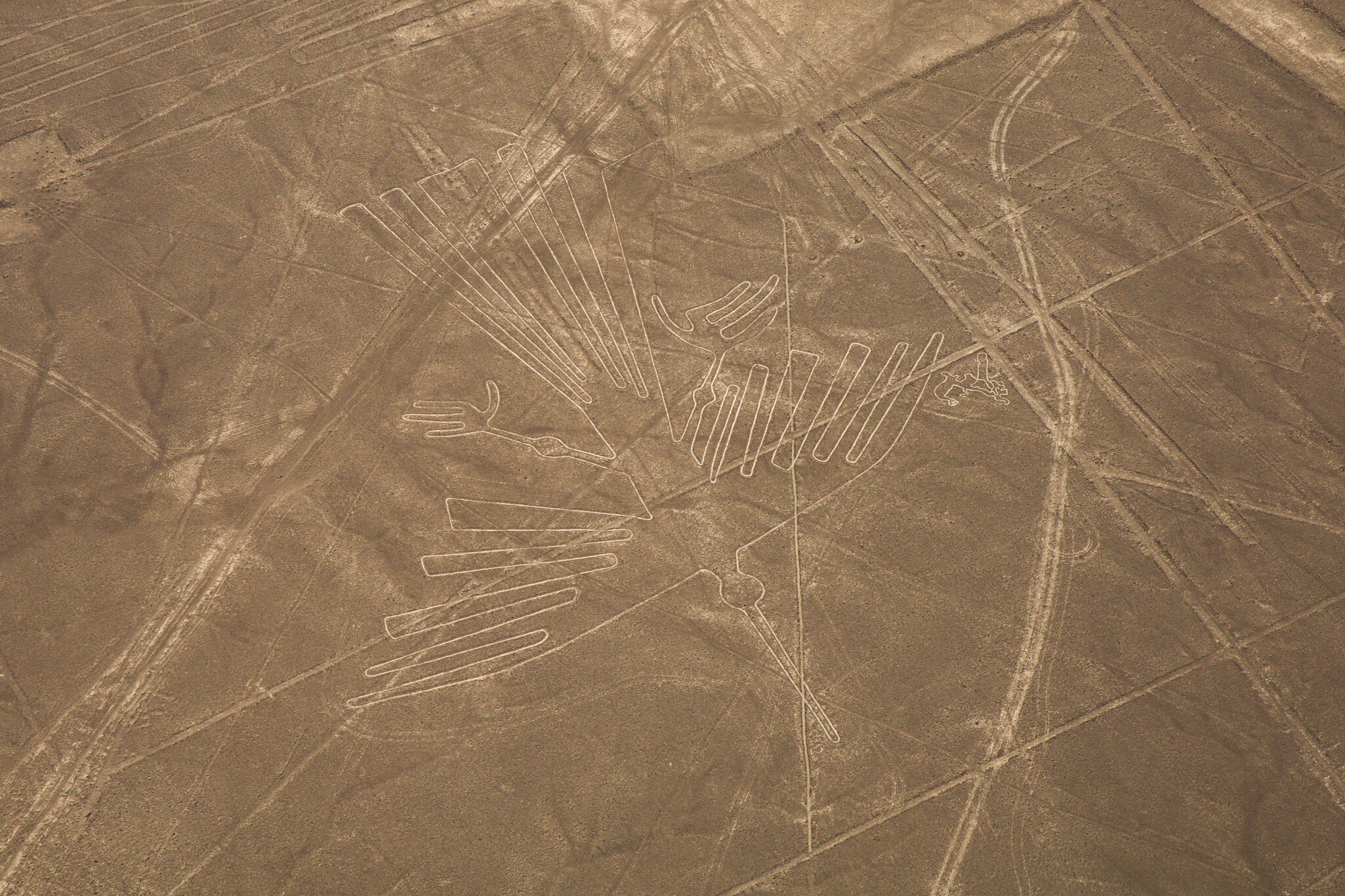 Flight over Nazca lines in desert near Ica in Peru. , License Type: media, Download Time: 2025-05-22T13:37:13.000Z, User: lonelyplanetmedia, Editorial: false, purchase_order: 65050 - Digital Destinations and Articles, job: Global Publishing WIP, client: Global Publishing WIP, other: Pia Peterson Haggarty // SS Comp Ingestion