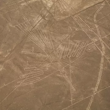 Flight over Nazca lines in desert near Ica in Peru. , License Type: media, Download Time: 2025-05-22T13:37:13.000Z, User: lonelyplanetmedia, Editorial: false, purchase_order: 65050 - Digital Destinations and Articles, job: Global Publishing WIP, client: Global Publishing WIP, other: Pia Peterson Haggarty // SS Comp Ingestion