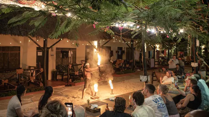 A performer holds a flaming torch up in front of a crowd.