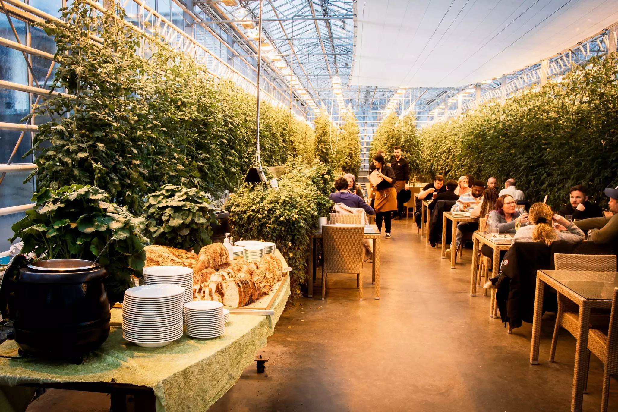 People sit at tables inside a greenhouse where crops grow.