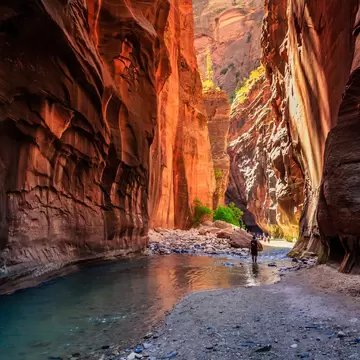 The Majestic Narrows in Zion National Park in Utah  License Type: media  Download Time: 2023-06-14T12:17:41.000Z  User: dermothegarty77  Is Editorial: No  purchase_order: 56530