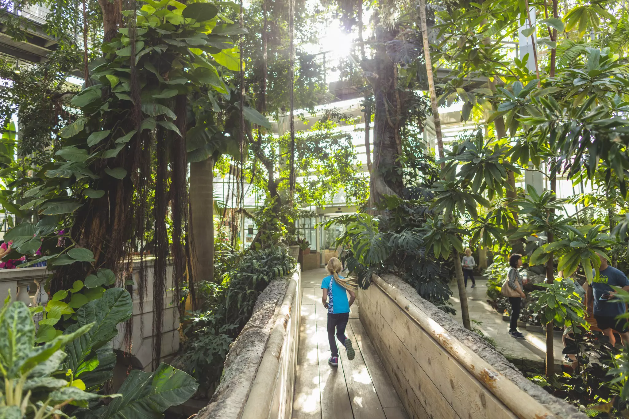 More than 4,000 seasonal, tropical, and subtropical plants, fill 10 garden rooms and two courtyards at the U.S. Botanic Garden © Courtesy of Destination DC