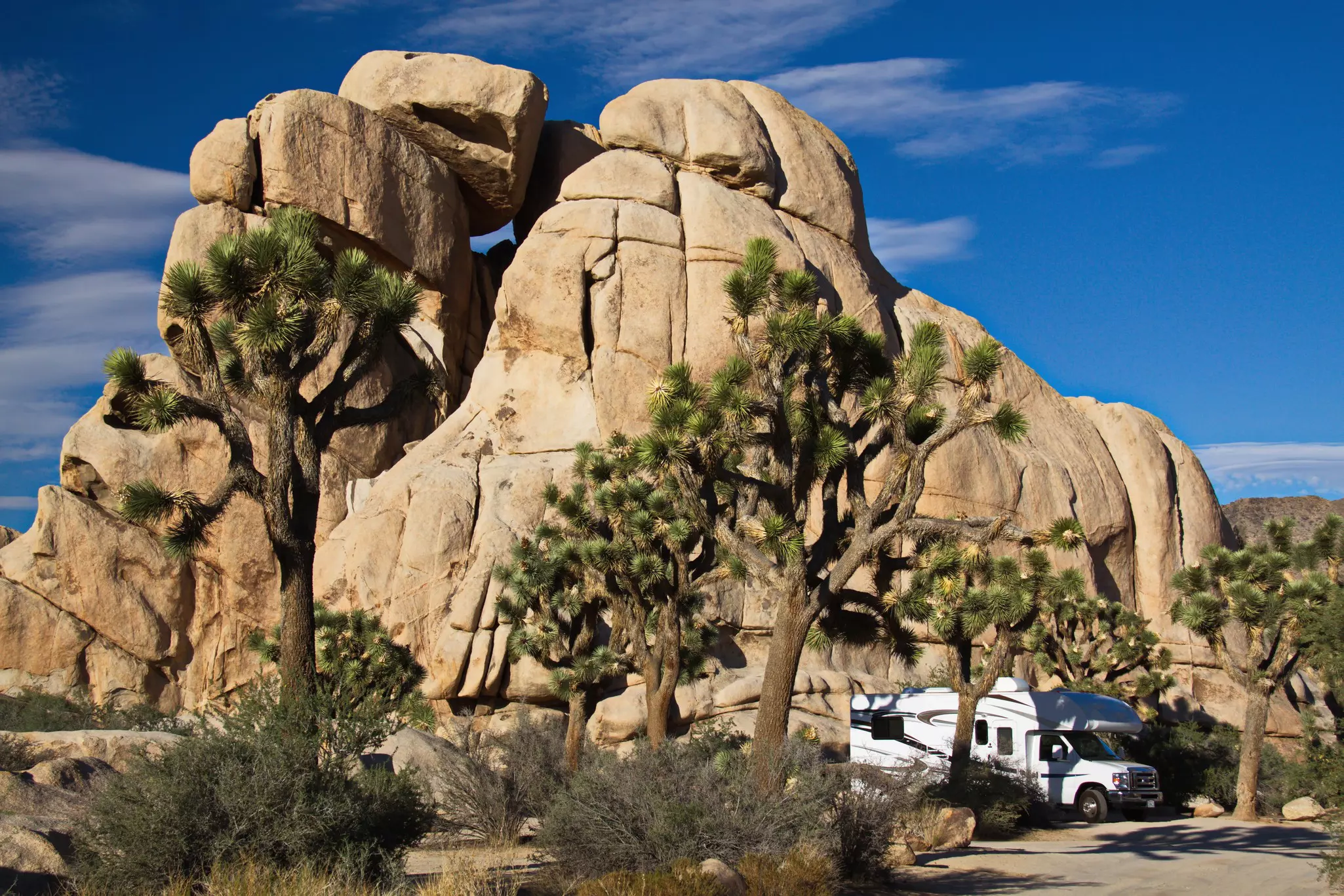 An RV is parked under joshua trees, which cast shadows on the vehicle and road; a large rock formation is behind the RV.