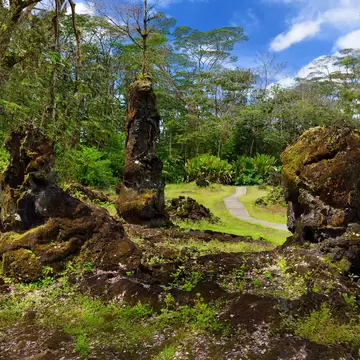 Lava molds of the tree trunks that were formed when a lava flow swept through a forested area in Lava Tree State Monument on the Big Island of Hawaii, USA
1034528940
state