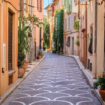 Narrow lane in old Antibes paved with fan-pattern cobbles, lined with ochre houses, shutters, potted plants and vines