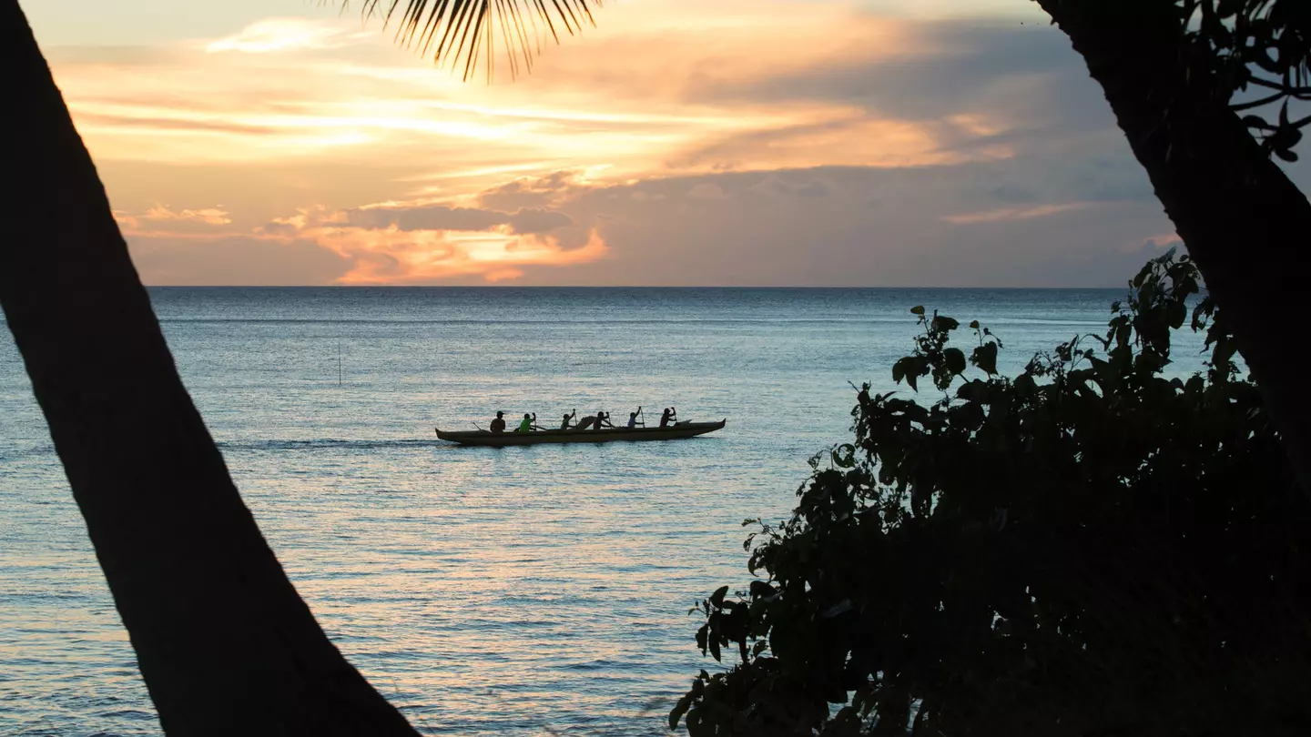 Hawaiian outrigger canoes and palm trees on the beach at sunset, Kihei, Maui, Hawaii, USA