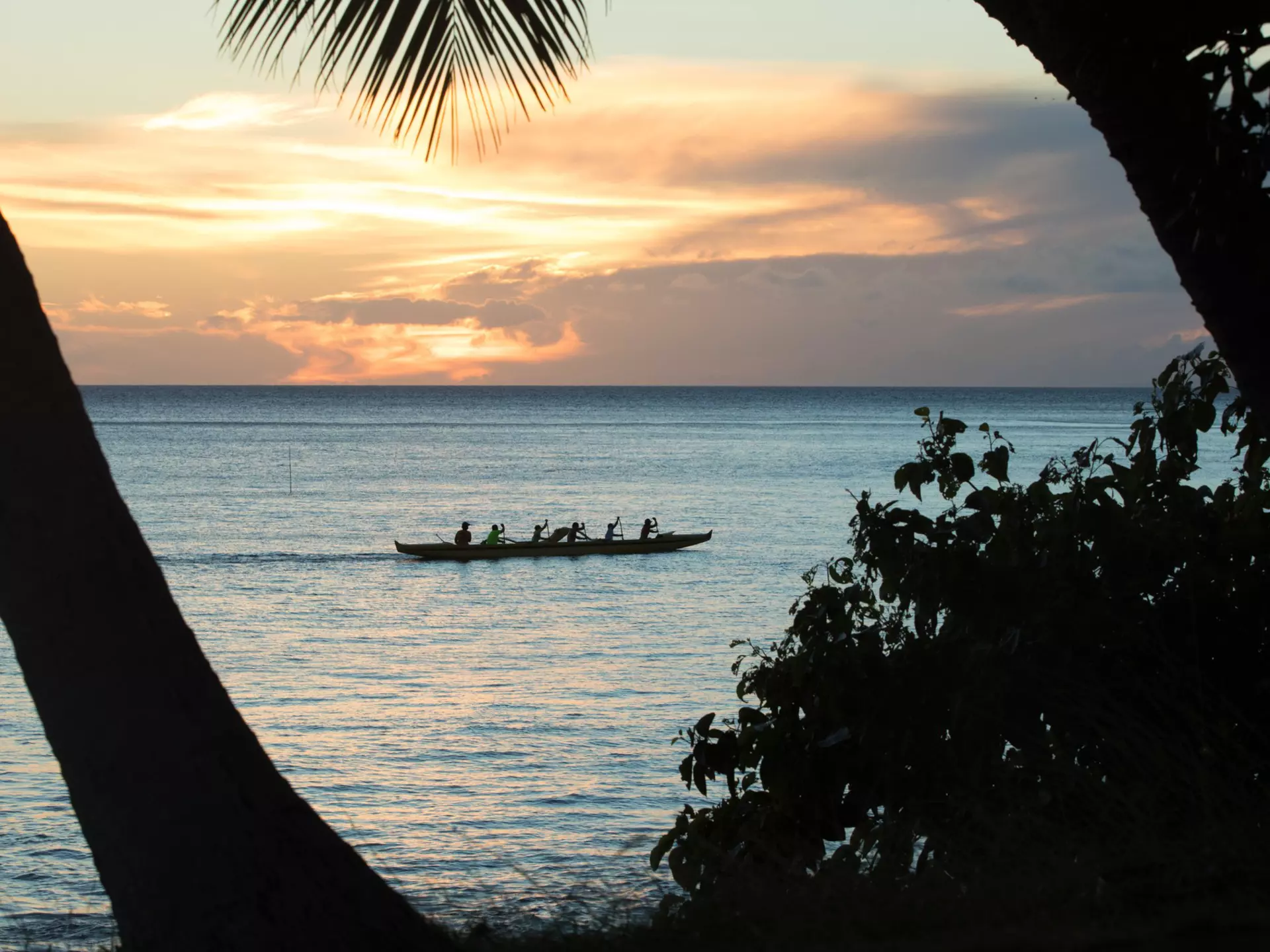 Hawaiian outrigger canoes and palm trees on the beach at sunset, Kihei, Maui, Hawaii, USA