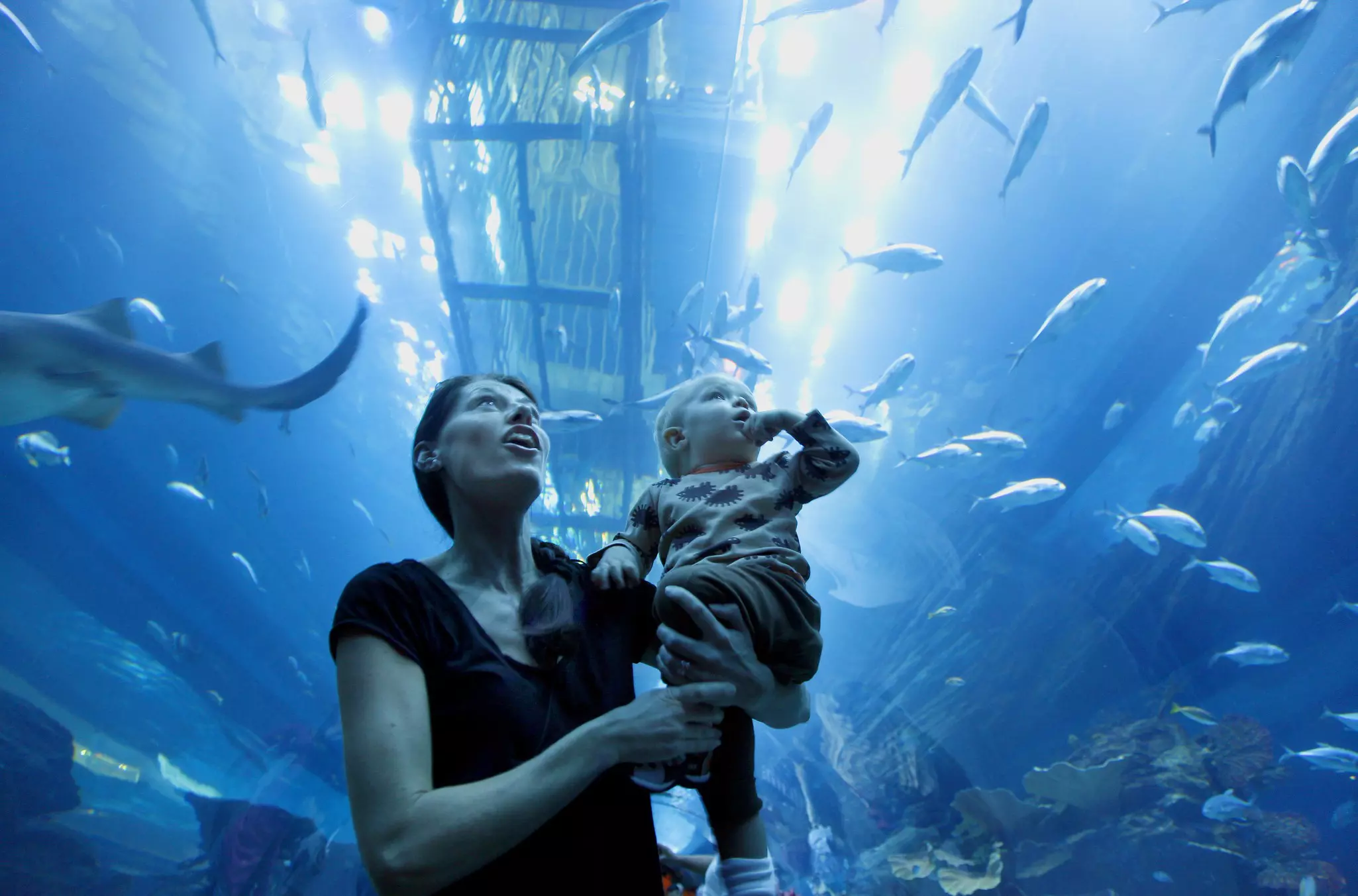 Mother with toddler son look up at the first at the aquarium at Dubai Mall, Dubai, UAE