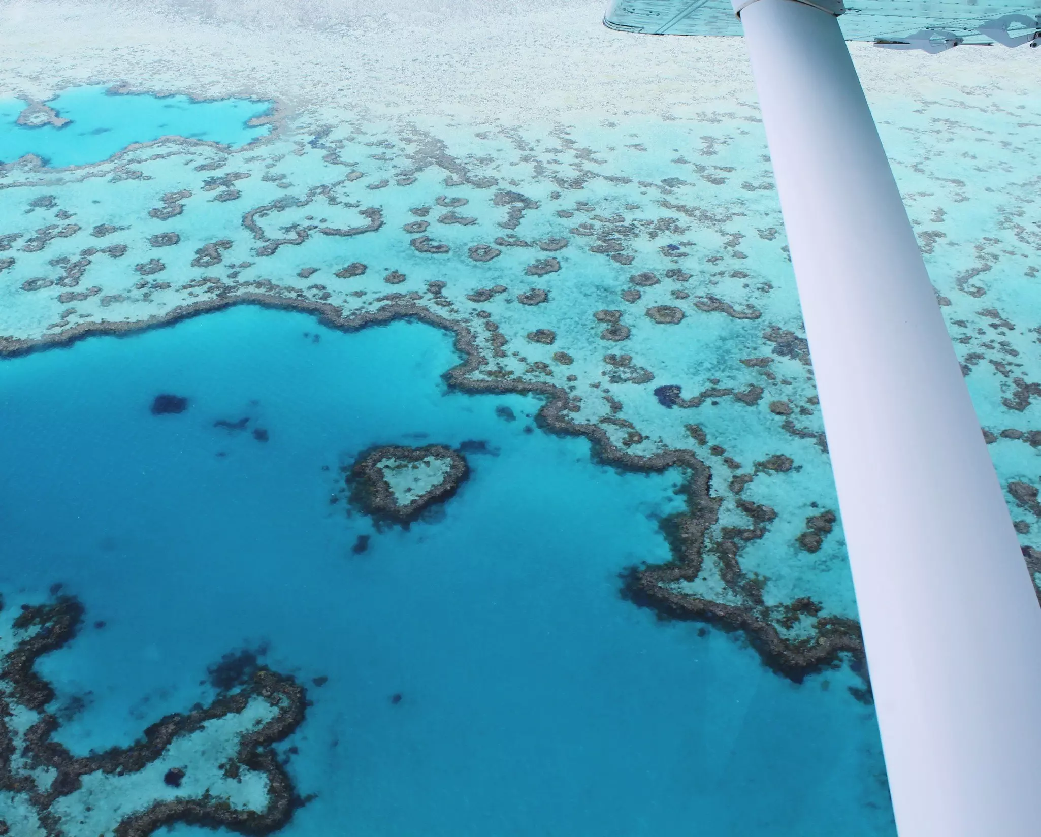 A heart-shaped island in the Great Barrier Reef seen from a plane.