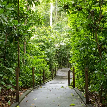 Universal trail with accessibility for people with disabilities in Carara National Park, Costa Rica.