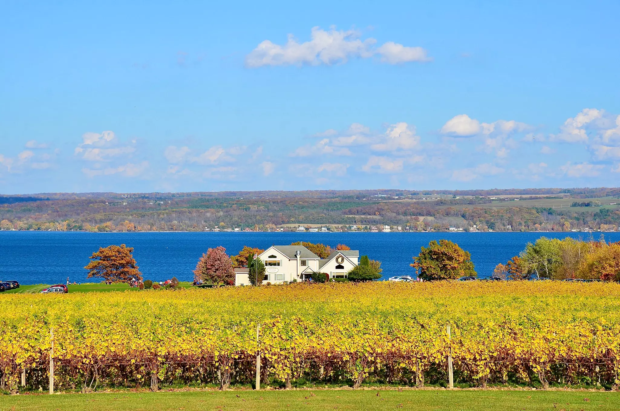 Cayuga Lake. PQK/Shutterstock