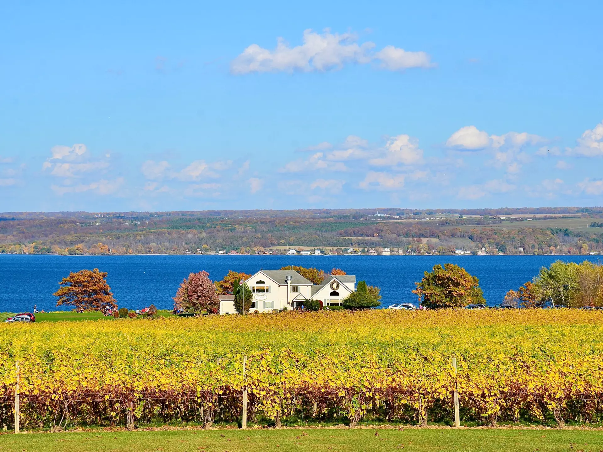 Large white house with autumnal-colored vineyard in front and lake view in the distance and trees on the far horizon on a sunny day.