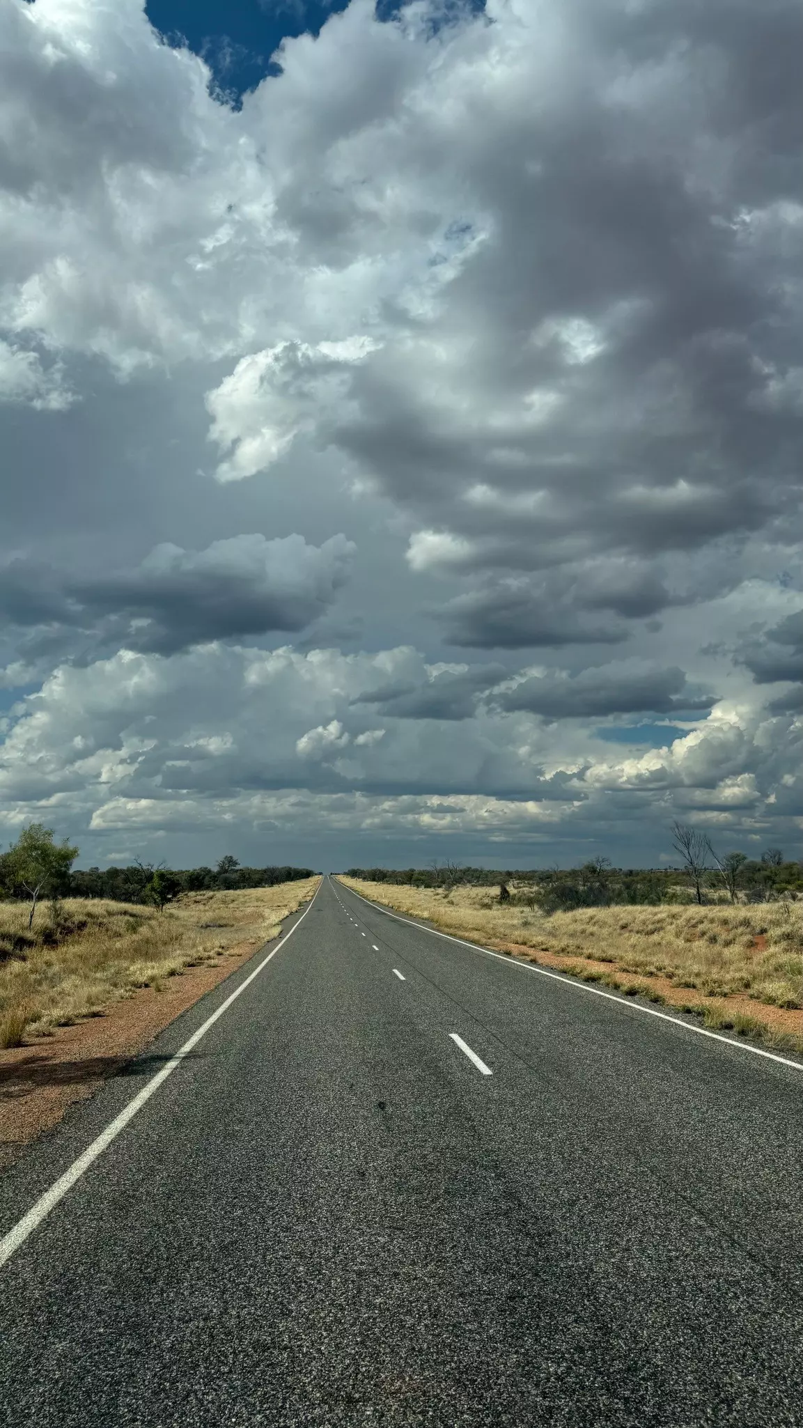 a row of brownstones on Clinton Street in Cobble Hill, Brooklyn