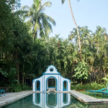 A swimming pool surrounded by jungle.
