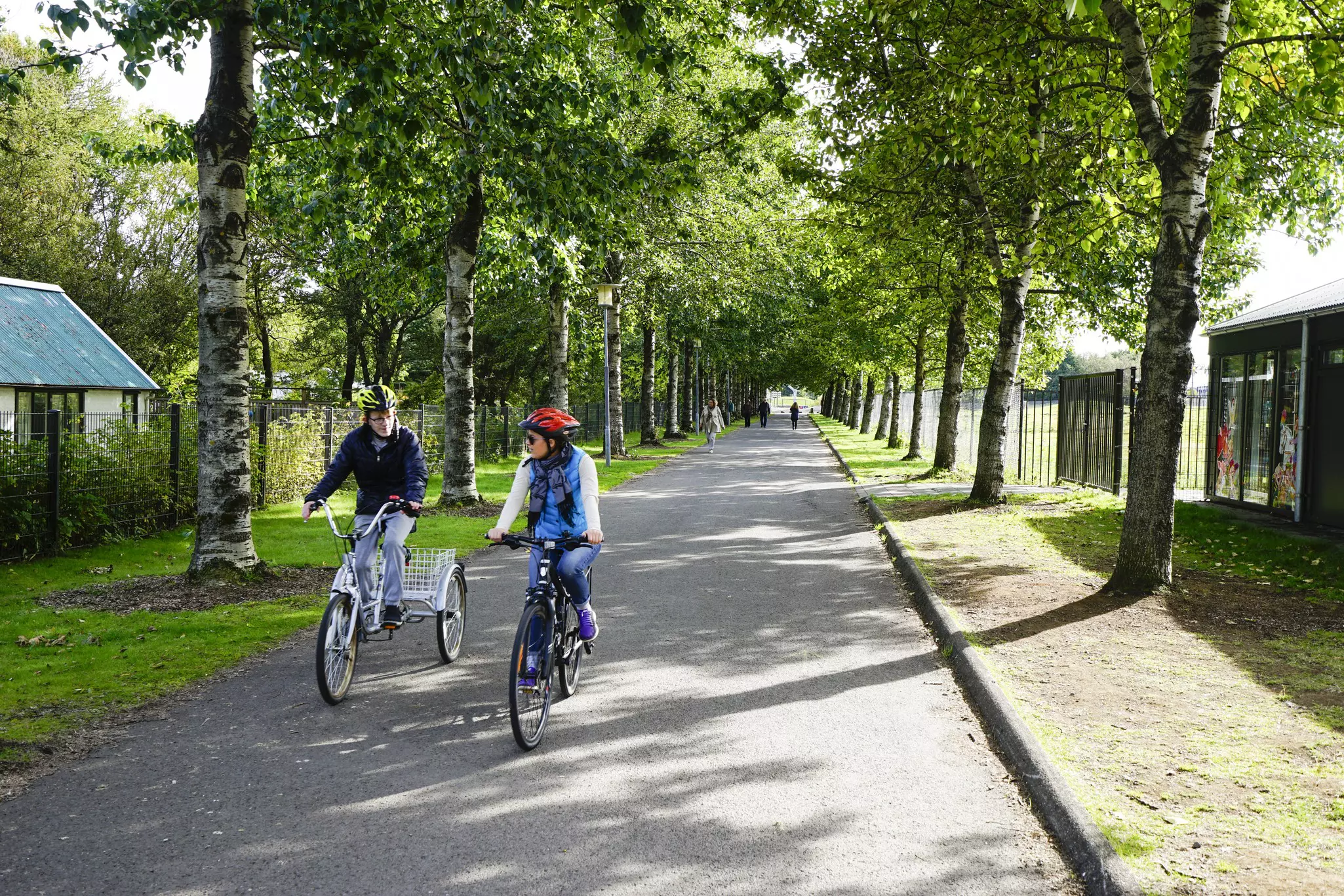 People ride bicycles on a tree-lined path. 