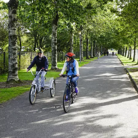 People ride bicycles on a tree-lined path. 