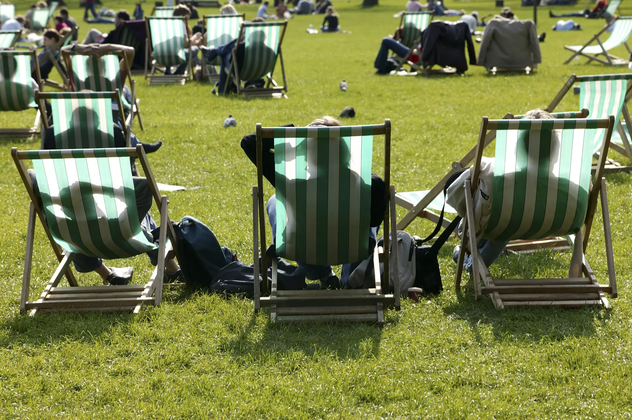 People lounge in green-and-white striped deck chairs shot from behind in a park on a sunny day