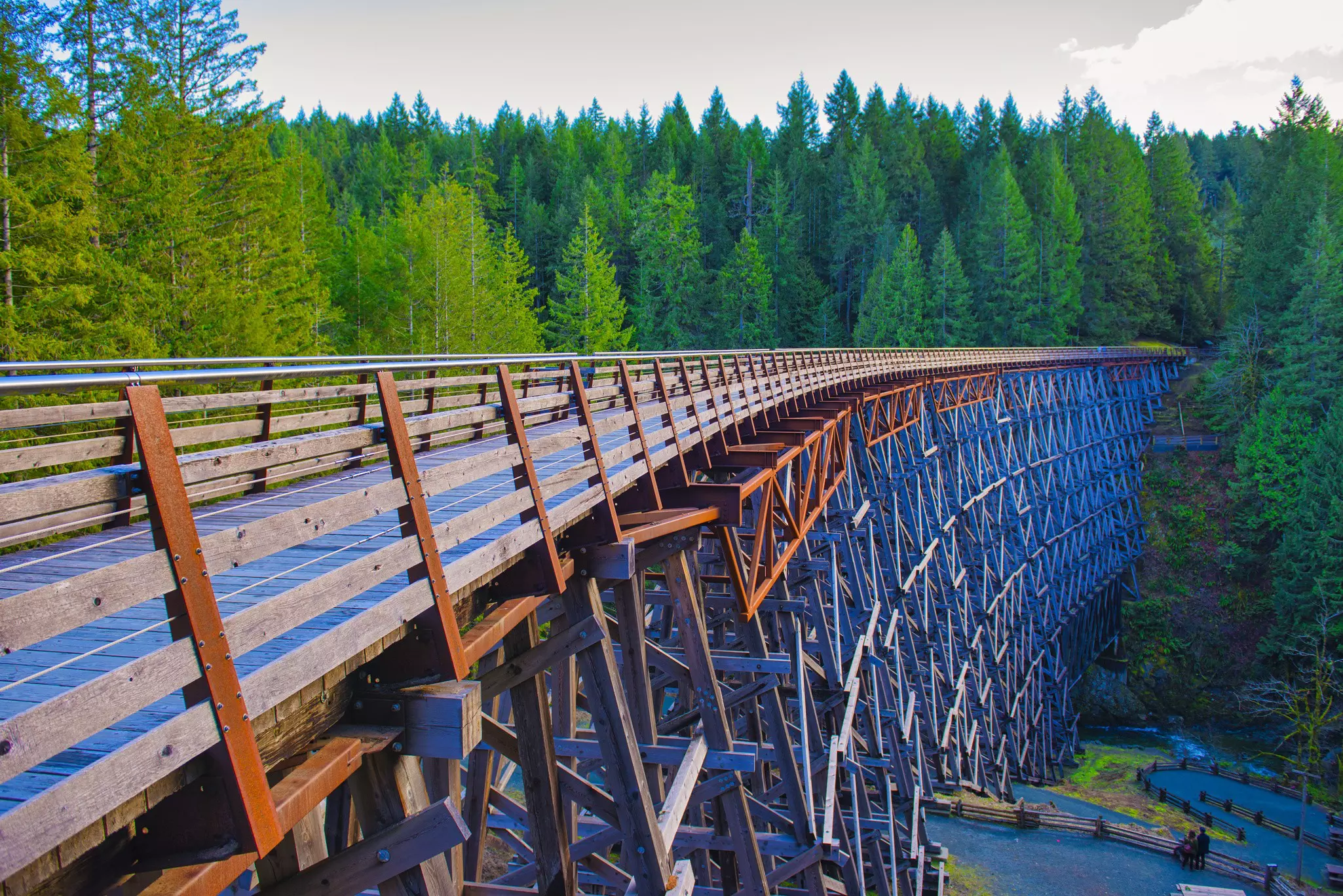A walkway over a wooden bridge with a trellis structure heading towards dense woodland.