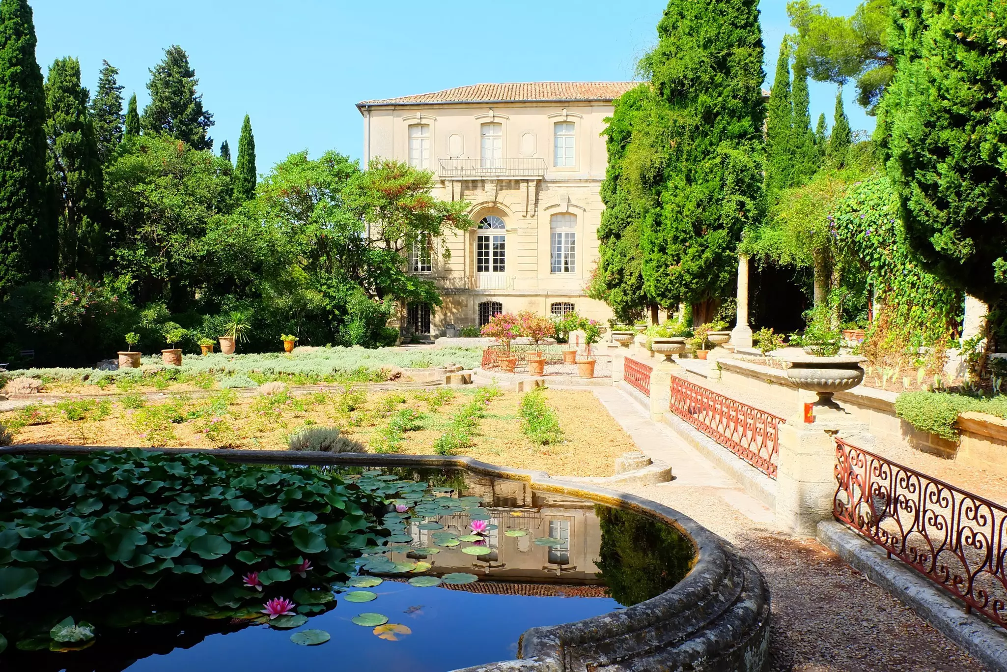 A pond with lily pads in shadow and a garden in sunshine, with a stone home at the end of the lawn.