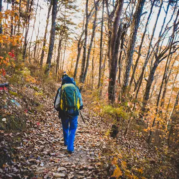 Hiker walking through forest in Georgia