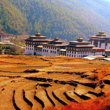 Terraced Fields and Government Buildings - Thimphu