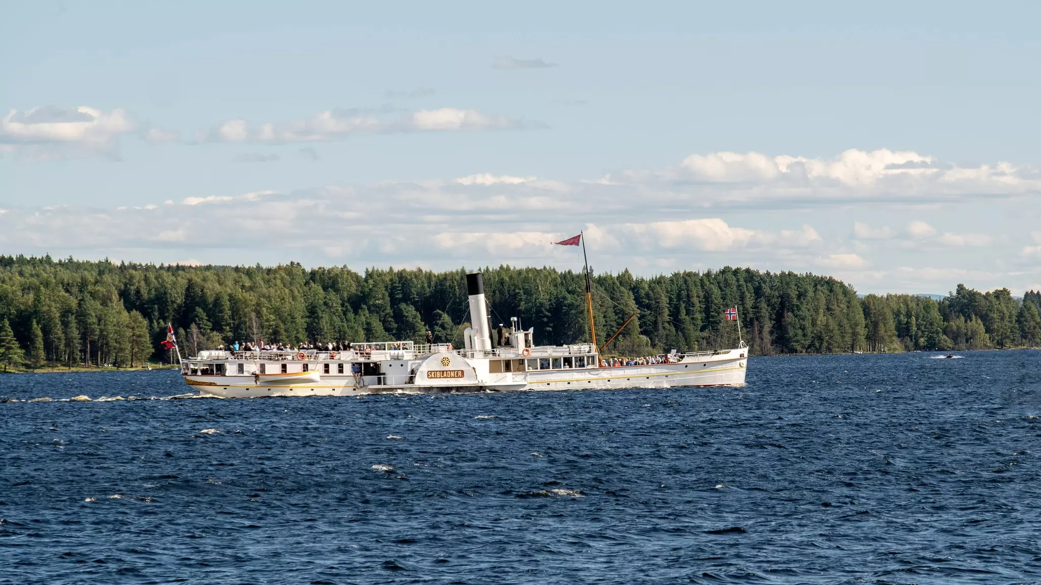 A white paddle boat on a lake in Norway, with pine trees along the shore.