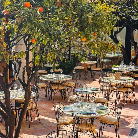 Le Patio's courtyard with citrus trees