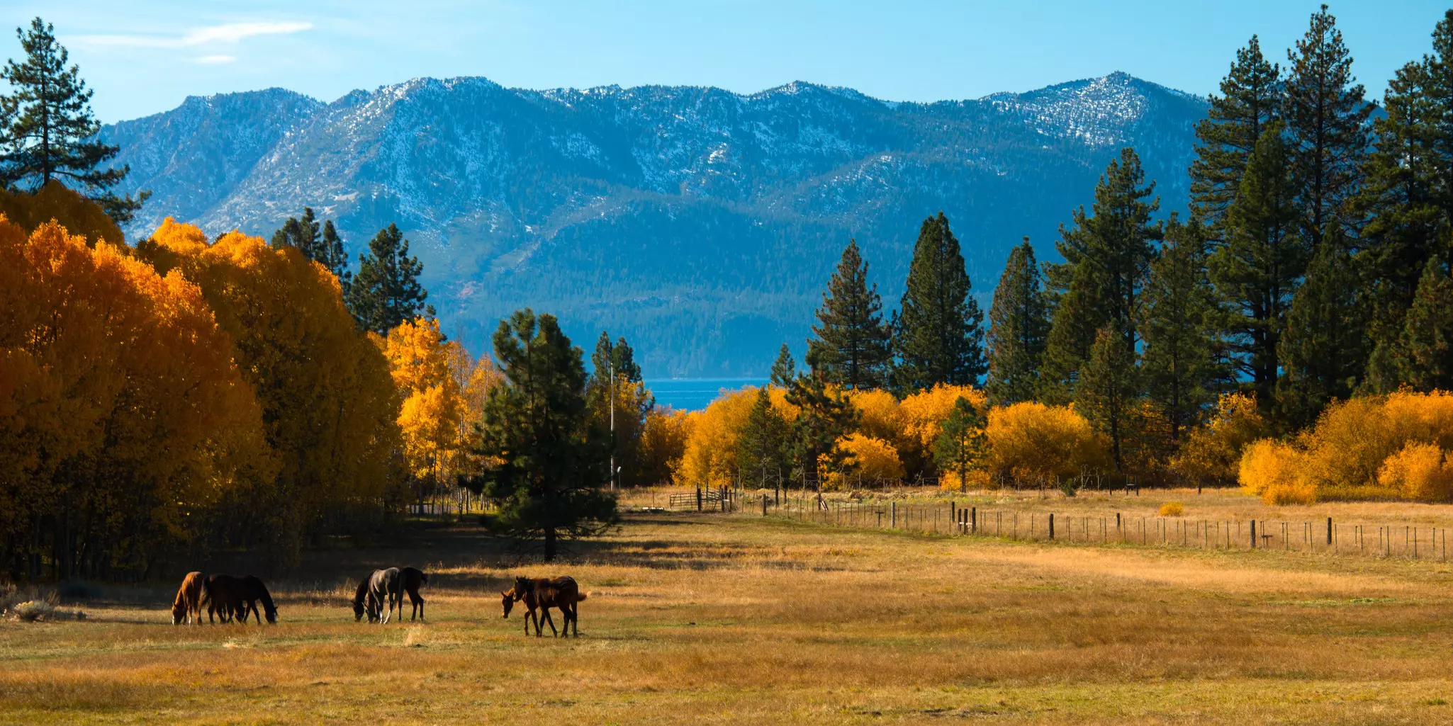 Fall colors in Lake Tahoe