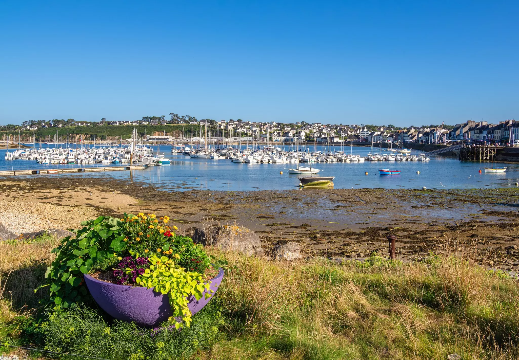 A picturesque view of Camaret sur Mer, a coastal town on the Crozon Peninsula in Brittany, showing grass, sand, water, boats and houses
