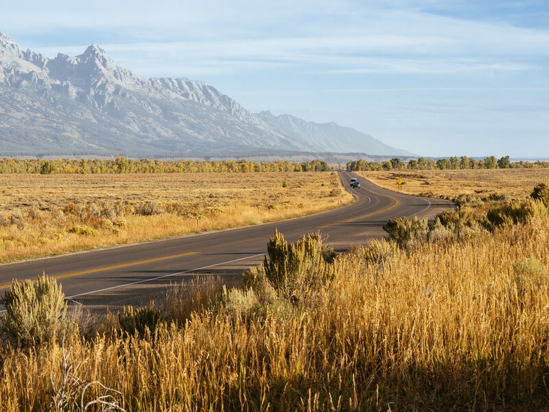 Grand Teton National Park, Wyoming. September 2025.