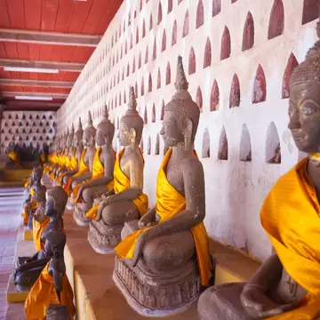 A row of seated Buddha statues lined up in front of a wall. 