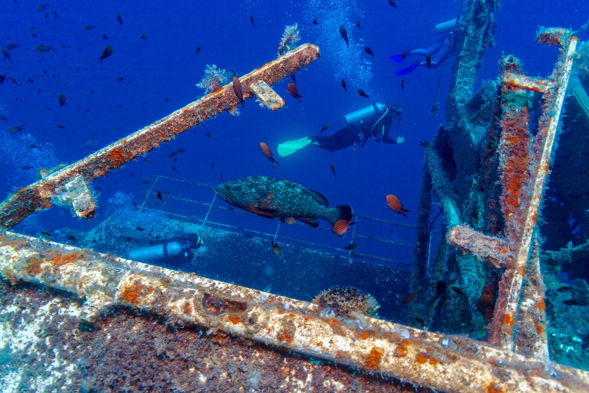 Zenobia ship wreck near Paphos, Cyprus ; Shutterstock ID 471124055; purchase_order: 65050; job: ; client: ; other: