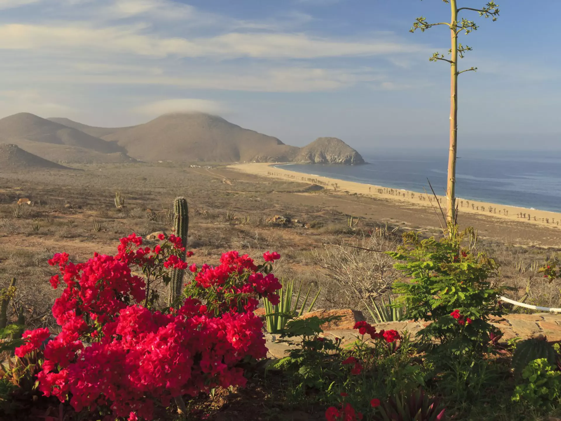 Home to 39 % of the world's total marine mammal species and numerous other wildlife, protecting the oceans around Todos Santos are a matter of global importance. Stuart Westmorland / Getty Images