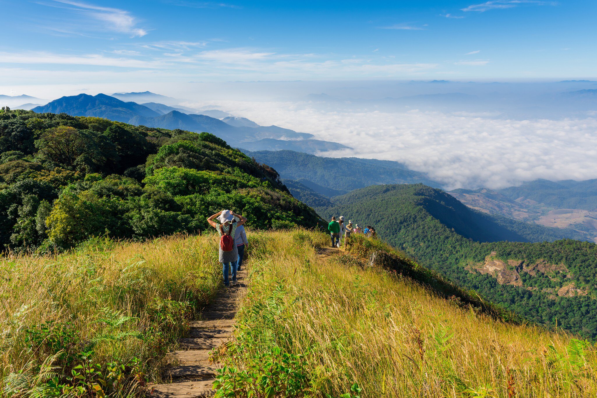 Tourists walking along a trail in Doi Inthanon National Park on a sunny day in Chiang Mai, Thailand.