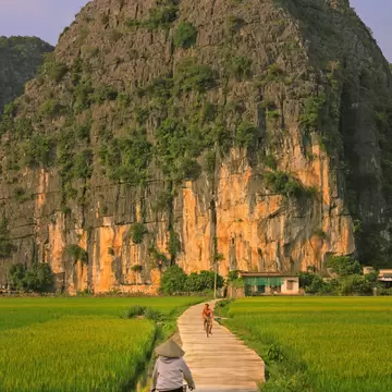 A woman in a conical hat cycles along a narrow path between green rice fields toward a towering limestone cliff.