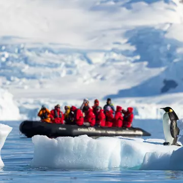Watching in penguins in Wilhelmina Bay. Jeremy Fratkin