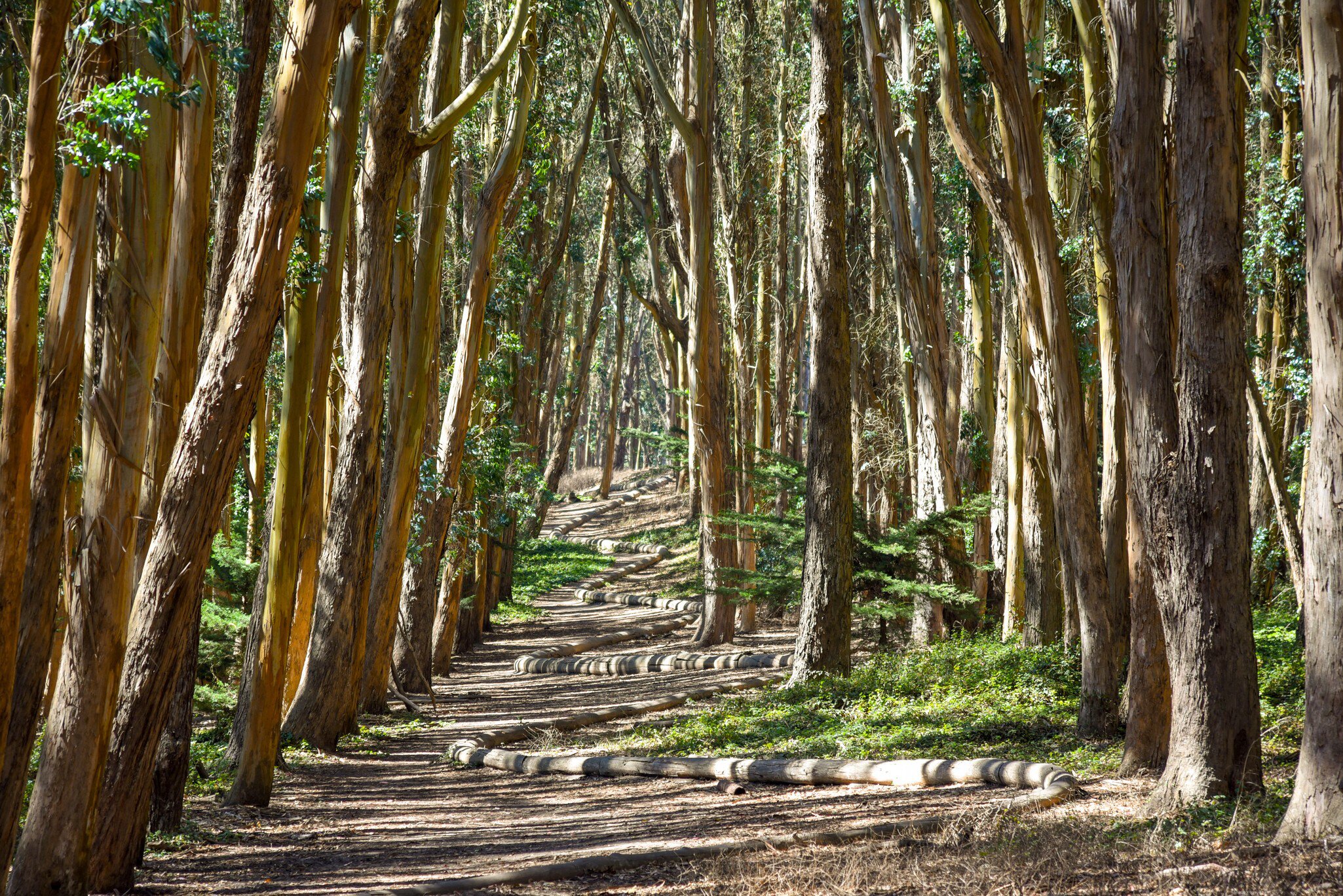 Presidio, San Francisco