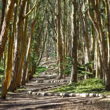 Presidio, San Francisco
